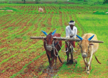 ����� ������� ����� ������ �������� 