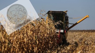 Цифровизация сельского хозяйства позволяет получить 5 рублей прибыли с 1 вложенного рубля