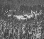 � ������ 2023 ���� ��� �������� � ������ �������� ����������� �������