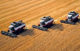 ����������� ������������� ������ ��������� ������������� ����������� ����������